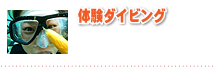 体験ダイビング