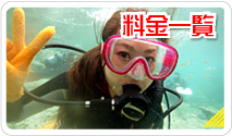 料金一覧