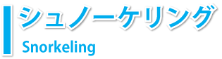 シュノーケリング