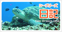シーブリーズ日記